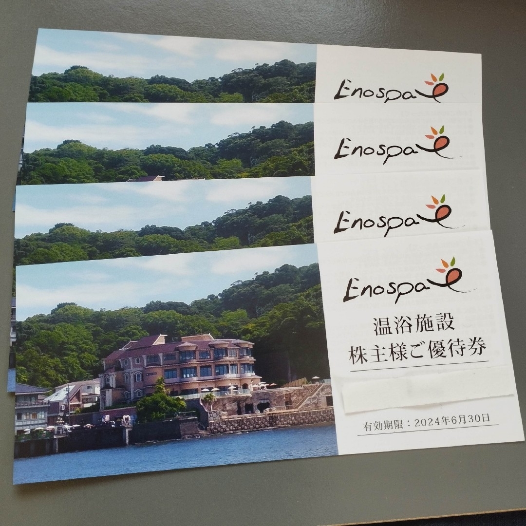 飯田グループ　株主優待券　4枚 江の島アイランドスパ チケットの施設利用券(その他)の商品写真