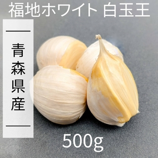 にんにく 【青森県産】福地ホワイト六片 500g 産直野菜(野菜)