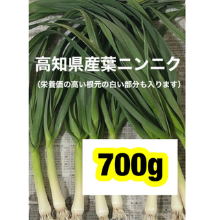 高知県産葉にんにく　葉ニンニク　産地直送700pjgad(野菜)