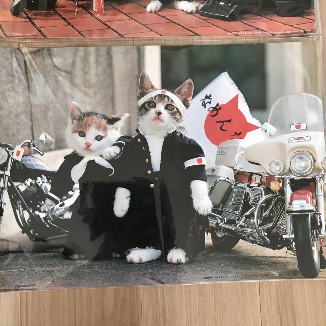 昭和 レトロ レア なめ猫 ポスター ４枚セット 最大76％オフ