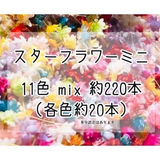 ★大人気★ｽﾀｰﾌﾗﾜｰﾐﾆ11色220本☆ﾄﾞﾗｲﾌﾗﾜｰ箱入おまけ付き(各種パーツ)