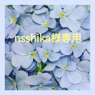 nsshika様専用(その他)