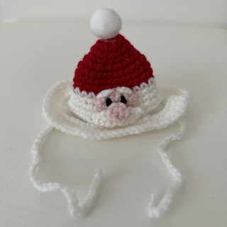 サンタクロースの帽子(ペット服/アクセサリー)