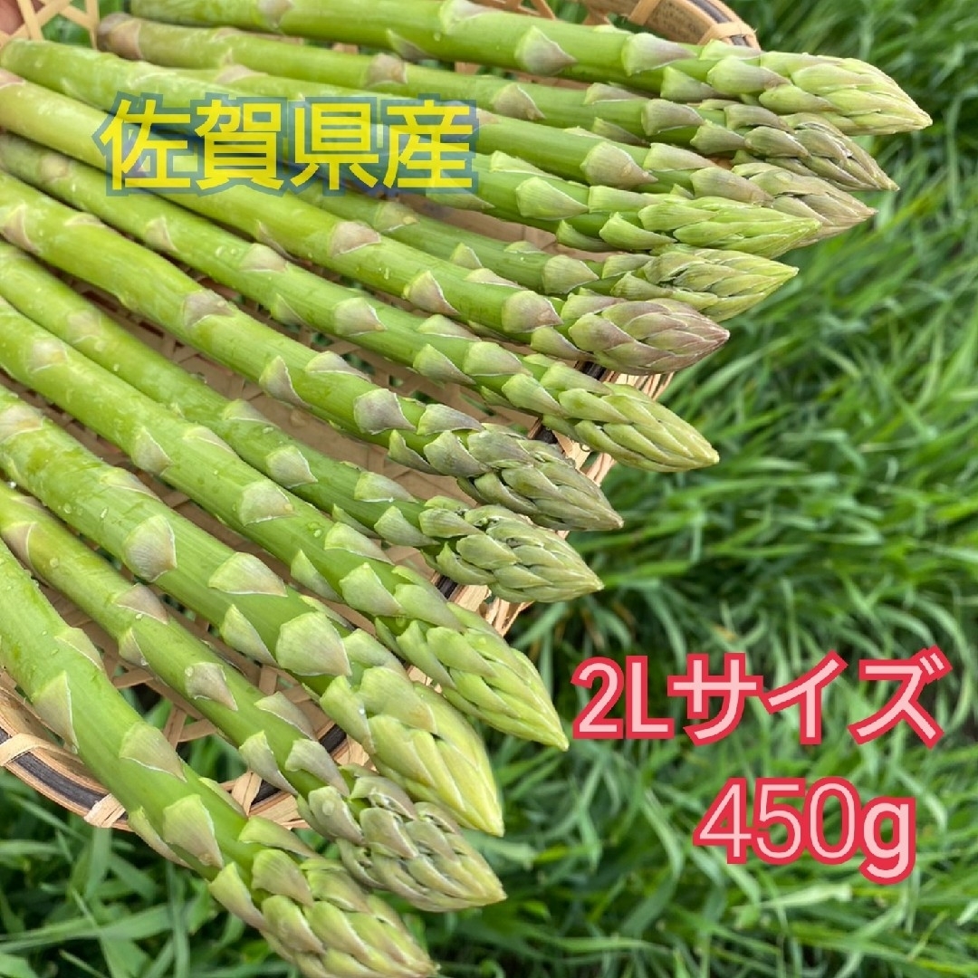 ２Lサイズ 　グリーンアスパラガス450g 食品/飲料/酒の食品(野菜)の商品写真