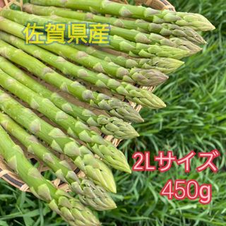 ２Lサイズ 　グリーンアスパラガス450g(野菜)