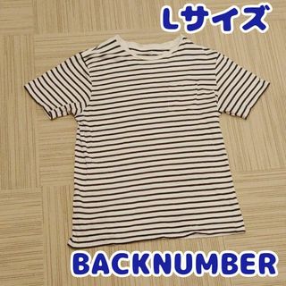 バックナンバー(BACK NUMBER)のLサイズ　バックナンバー　白紺ボーダーTシャツ　半袖シャツ　胸ポケットつき(Tシャツ/カットソー(半袖/袖なし))