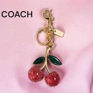 COACH - コーチ レキシーチャームの通販 by まり's shop｜コーチならラクマ