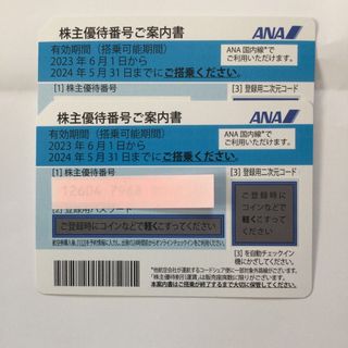 エーエヌエー(ゼンニッポンクウユ)(ANA(全日本空輸))のANA株主優待　２枚(その他)