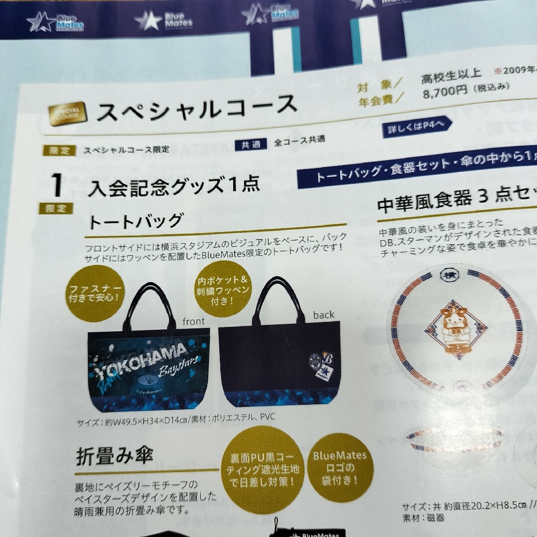 横浜DeNAベイスターズ(ヨコハマディーエヌエーベイスターズ)の【2024年】横浜DeNAベイスターズ トートバッグ【ブルーメイツ会員特典】 スポーツ/アウトドアの野球(記念品/関連グッズ)の商品写真