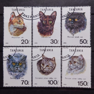 海外切手 6枚セット タンザニア 猫 ペット アビシニアン ハバナ ペルシャネコ(使用済み切手/官製はがき)