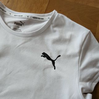 プーマ(PUMA)のPUMA プーマ ACTIVE 半袖Tシャツ レディース/ウィメンズ スポーツ/(Tシャツ(半袖/袖なし))