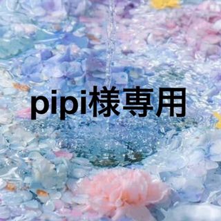 ♡pipi様専用♡(プランター)