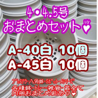 プラ鉢20個おまとめセット♪【A-40・A-45 各10個】プレステラ多肉(プランター)