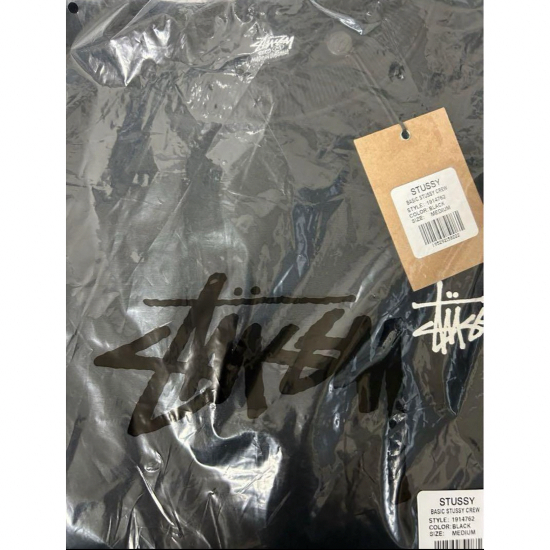 STUSSY(ステューシー)のSTUSSY BASIC STUSSY L/S TEE ステューシー　ロンT メンズのトップス(Tシャツ/カットソー(七分/長袖))の商品写真