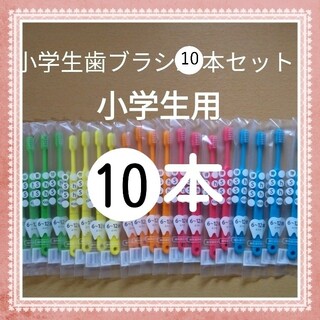 【127】歯科専売　小学生歯ブラシ「ふつう10本」(歯ブラシ/歯みがき用品)