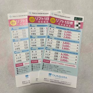 たんばら リフト１日券 特別優待券(スキー場)