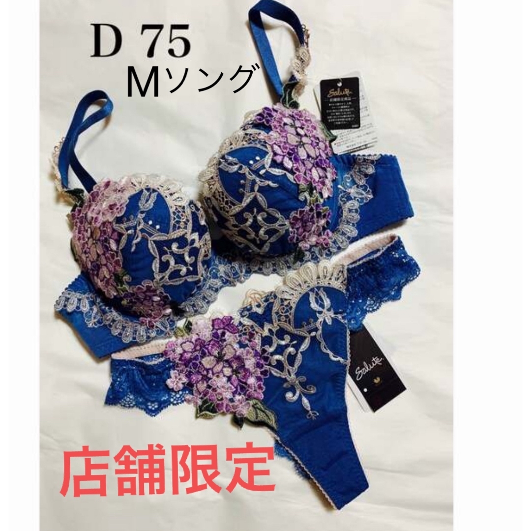 サルート 店舗限定 ブラ ソングセット サルート 店舗限定 ブラ ソングセット