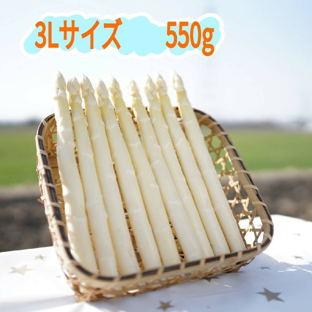 3Lサイズ　 ホワイトアスパラガス550g 食品/飲料/酒の食品(野菜)の商品写真