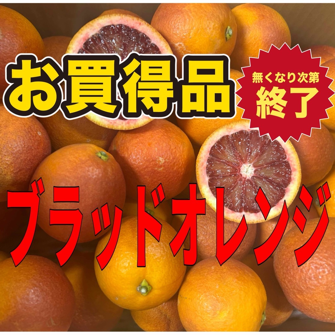 ブラッドオレンジ　5キロ （箱込み）　秀品〜家庭用 食品/飲料/酒の食品(フルーツ)の商品写真