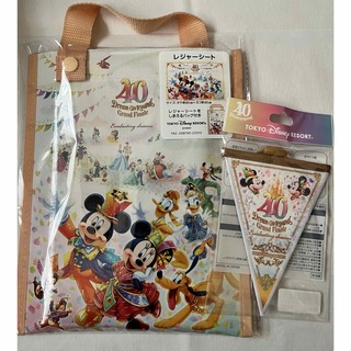 ディズニー(Disney)のディズニー40周年グランドフィナーレ・写真 3点セット(キャラクターグッズ)