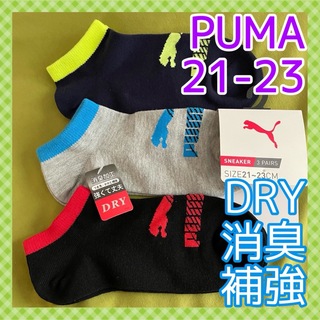 プーマ(PUMA)の【PUMA】消臭補強DRY‼️プーマ キッズ靴下3足組　PM-18A☆21-23(靴下/タイツ)
