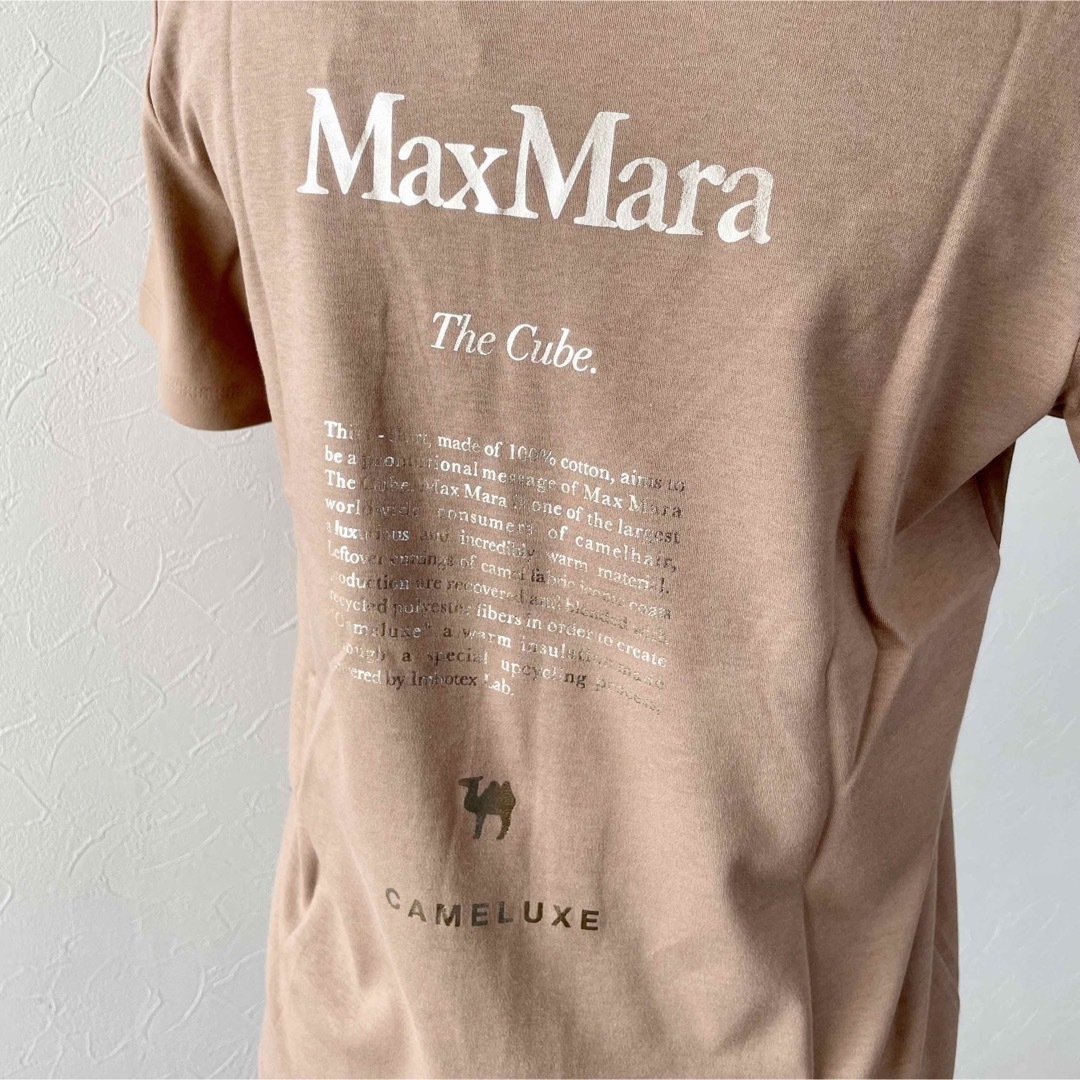 'S Max Mara(エスマックスマーラ)のぽぽ&める様　専用 レディースのトップス(Tシャツ(半袖/袖なし))の商品写真