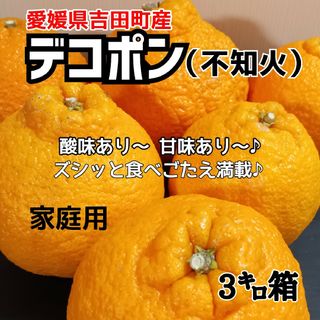 愛媛県産★農家直送★不知火(デコポン) 家庭用３キロ(フルーツ)