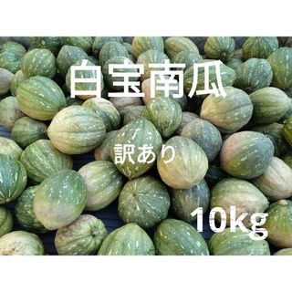 白宝かぼちゃ　訳あり　１０kg　６〜８玉　1　1(野菜)