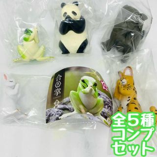 A-50　コンプ　合掌 GASSHO 2拝　全5種セット　フィギュア　動物(キャラクターグッズ)