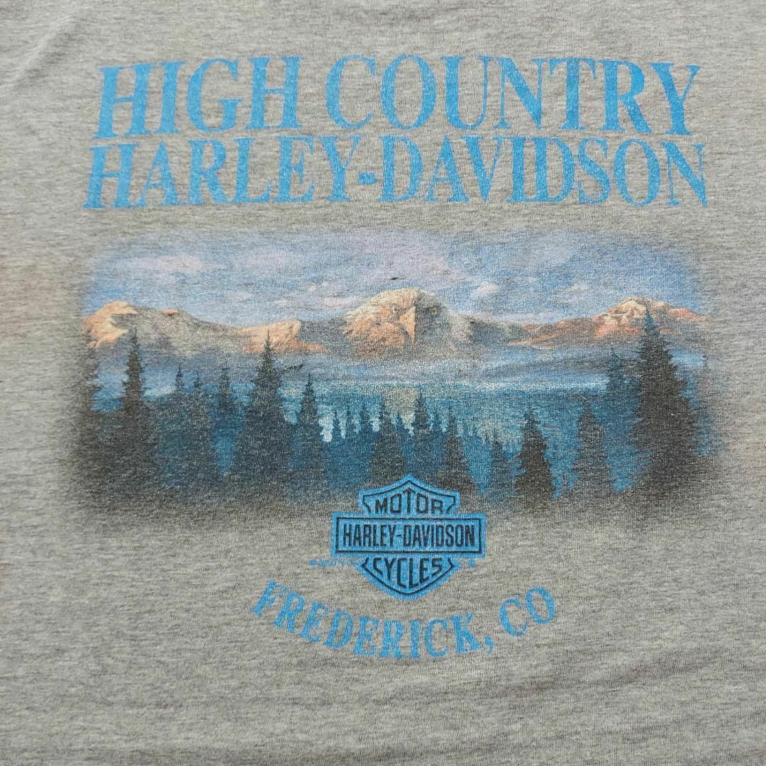 Harley Davidson(ハーレーダビッドソン)のハーレーダビッドソン ノースリーブ プリントTシャツ カットオフ グレー USA メンズのトップス(Tシャツ/カットソー(半袖/袖なし))の商品写真