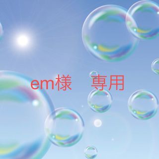 em様　専用(キャラクターグッズ)