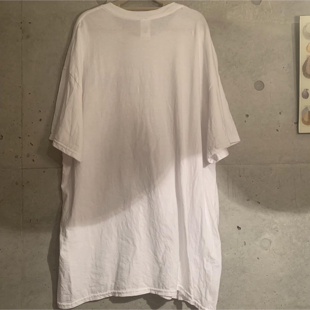 レースtシャツ レディースのトップス(Tシャツ(半袖/袖なし))の商品写真