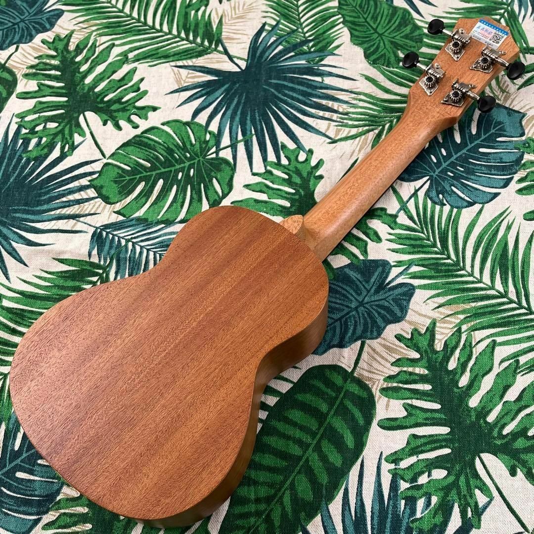 【music ukulele】ドルフィン・エレキソプラノウクレレ【UK専門店】 楽器のウクレレ(ソプラノウクレレ)の商品写真