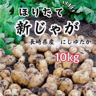 農家直送　長崎県産　新じゃがいも　10キロ(野菜)