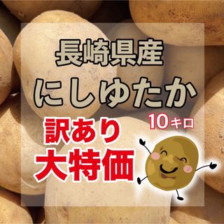 【訳あり大特価】長崎県産　新じゃがいも　10キロ(野菜)