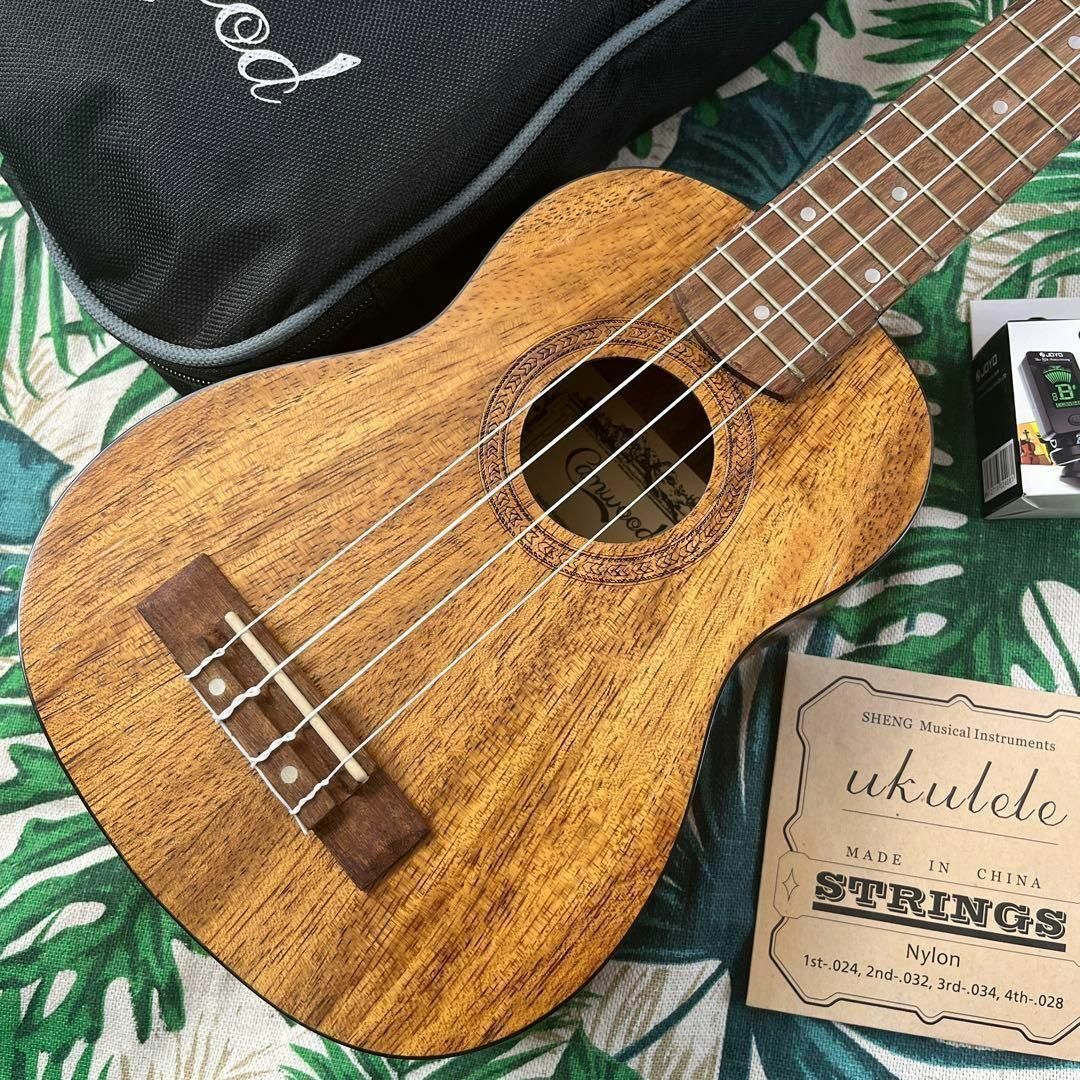 【camwood ukulele】チーク材のエレキ・ソプラノウクレレ【セット付】 楽器のウクレレ(ソプラノウクレレ)の商品写真