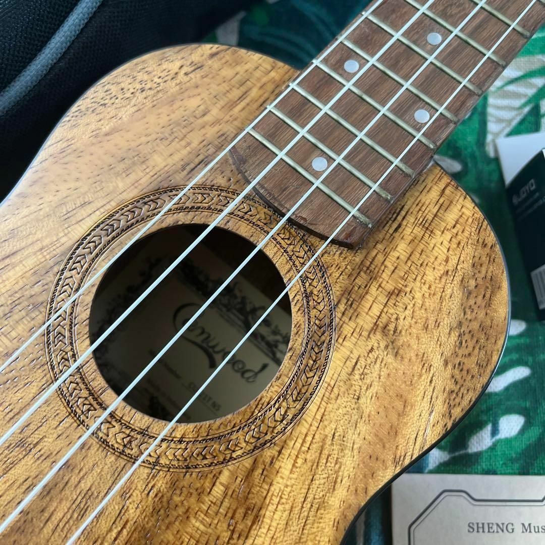 【camwood ukulele】チーク材のエレキ・ソプラノウクレレ【セット付】 楽器のウクレレ(ソプラノウクレレ)の商品写真