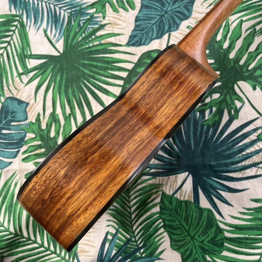 【camwood ukulele】チーク材のエレキ・ソプラノウクレレ【セット付】 楽器のウクレレ(ソプラノウクレレ)の商品写真