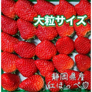 大粒サイズ 約800g 紅ほっぺ🍓 いちご 苺(フルーツ)