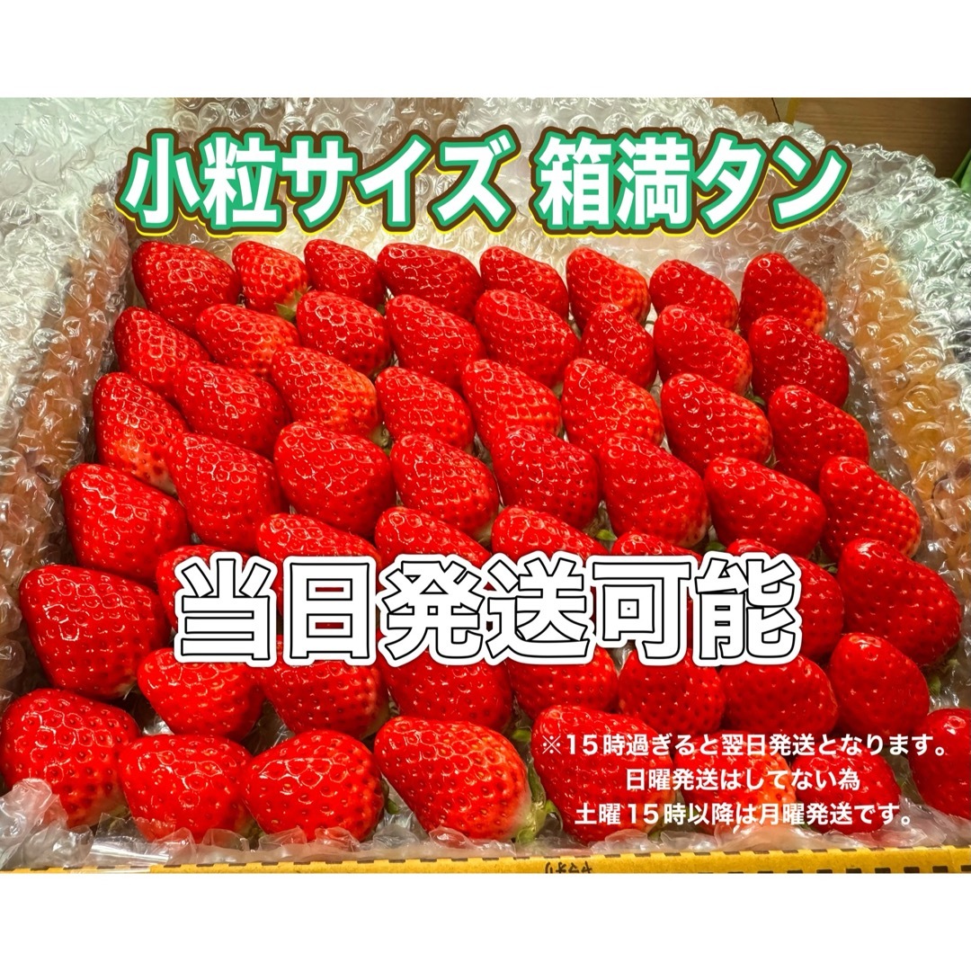 小粒サイズ 箱満タン 750g以上 紅ほっぺ 🍓いちご 苺 食品/飲料/酒の食品(フルーツ)の商品写真