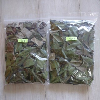 乾燥びわの葉 40g x 2愛知県西三河  無農薬  ウサギさんへ♪ お茶に