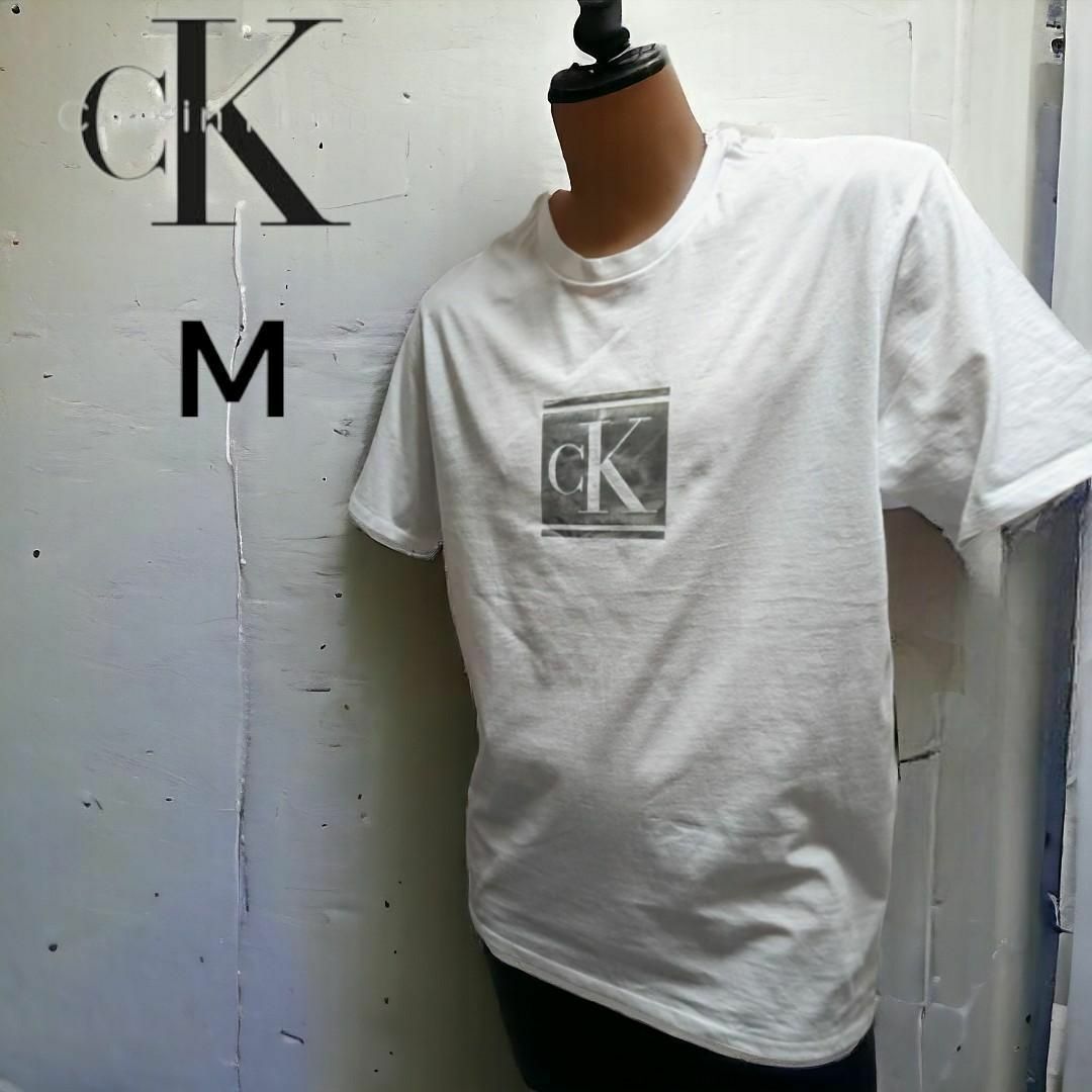 Calvin Klein(カルバンクライン)のCALVIN KLEIN カルバン・クライン モノグラム 半袖Tシャツ 白　M メンズのトップス(Tシャツ/カットソー(半袖/袖なし))の商品写真