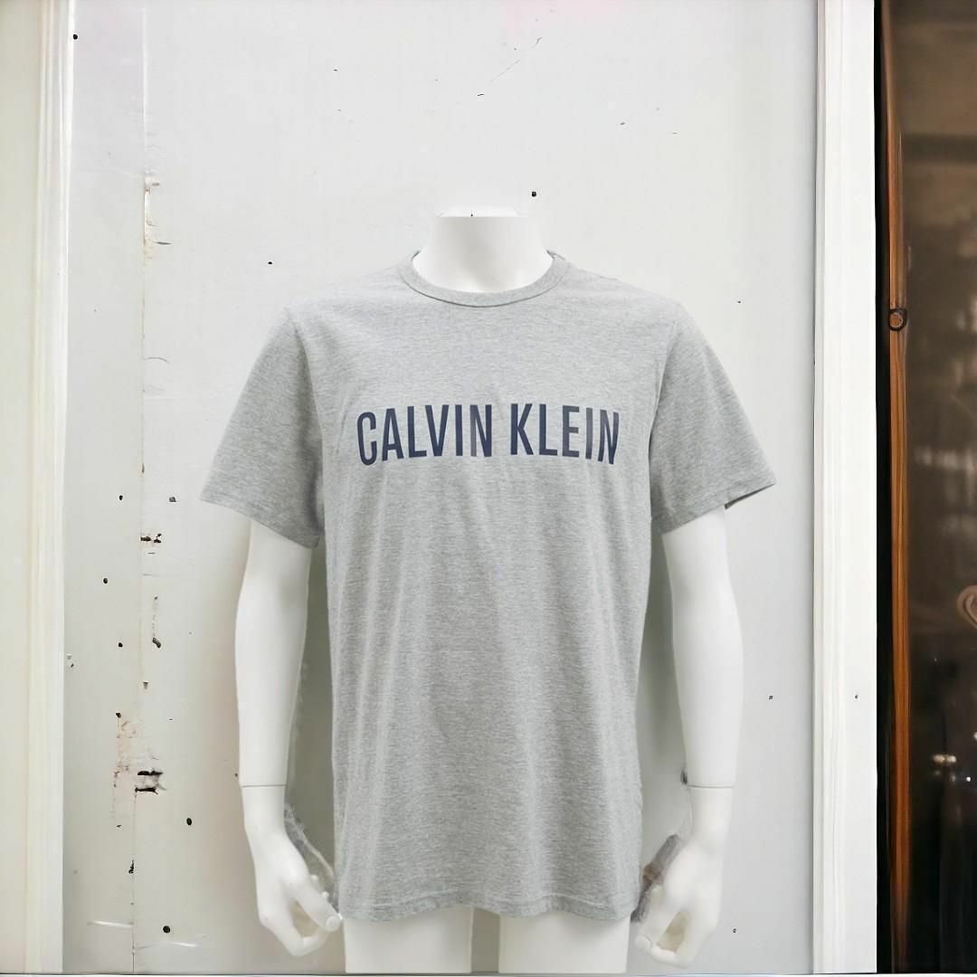 Calvin Klein(カルバンクライン)の【新品タグ付き】カルバンクライン Tシャツ メンズ S レディース M グレー メンズのトップス(Tシャツ/カットソー(半袖/袖なし))の商品写真