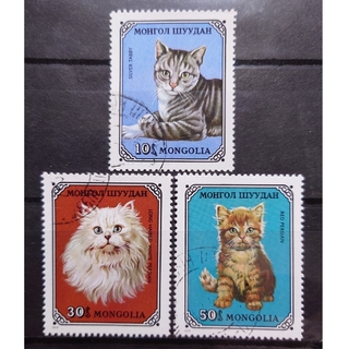 海外切手 3枚セット モンゴル 猫 ペット シルバータビー ペルシャ ペルシアン(使用済み切手/官製はがき)