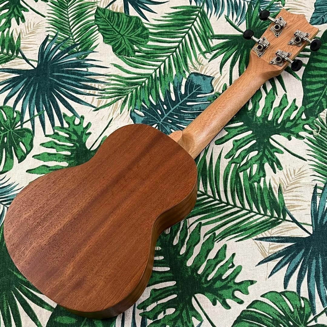 【Aiersi】ドルフィンホールのエレキ・ソプラノウクレレ【ukulele】 楽器のウクレレ(ソプラノウクレレ)の商品写真