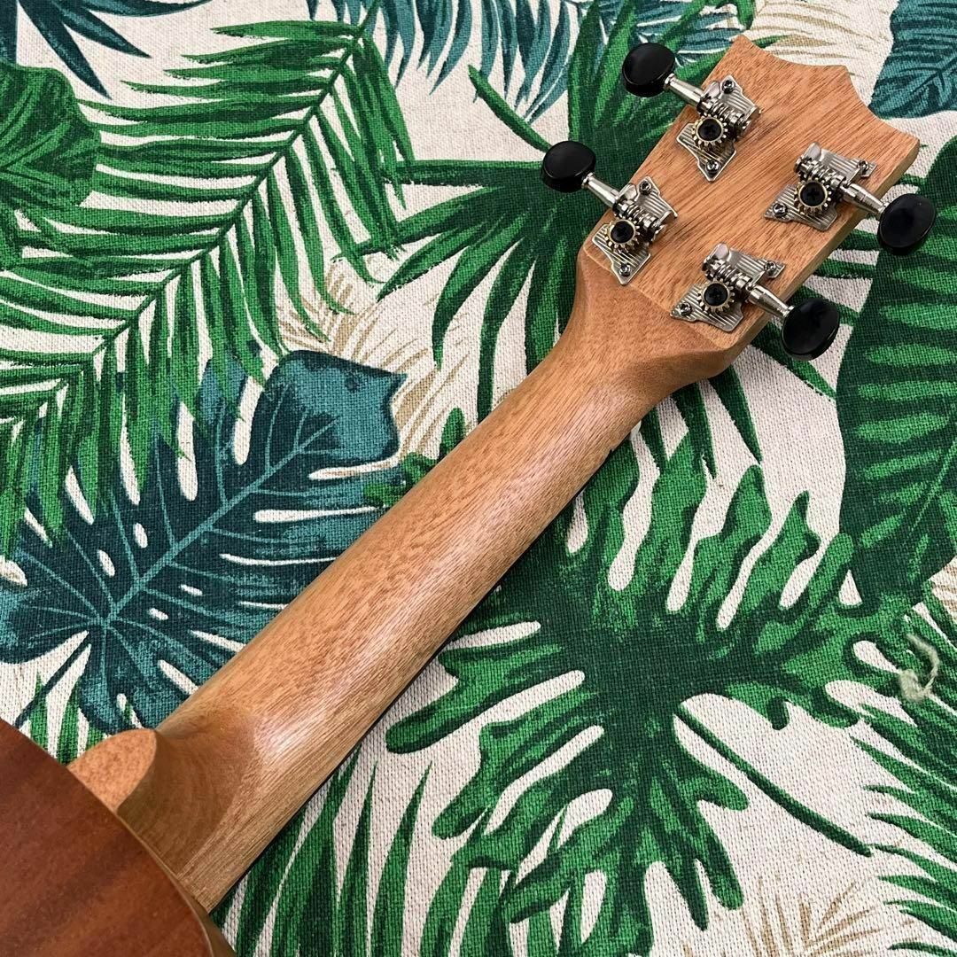 【Aiersi】ドルフィンホールのエレキ・ソプラノウクレレ【ukulele】 楽器のウクレレ(ソプラノウクレレ)の商品写真