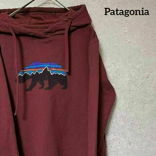 patagonia - ☆最終値下げしました☆patagonia シンチラスナップ