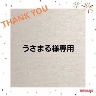 専用(外出用品)