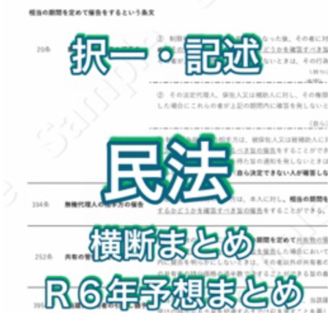 2024行政書士独学サポートchの横断まとめ集と記述論点集の２点セットです その他のその他(その他)の商品写真