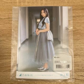 乃木坂46 井上和 生写真 バンドエイド剥がすような別れ方 コンプ(アイドルグッズ)